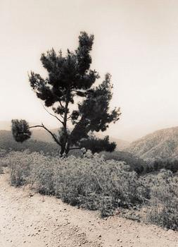 Håkan Valentin, "Rhodos, Greece", 1976.