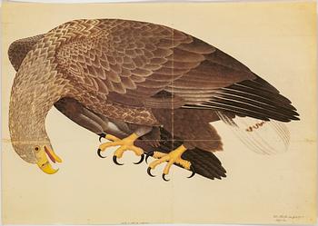 Olof Rudbeck the younger, after, a portfolio and two books, 1985. Numbered 285/1499.