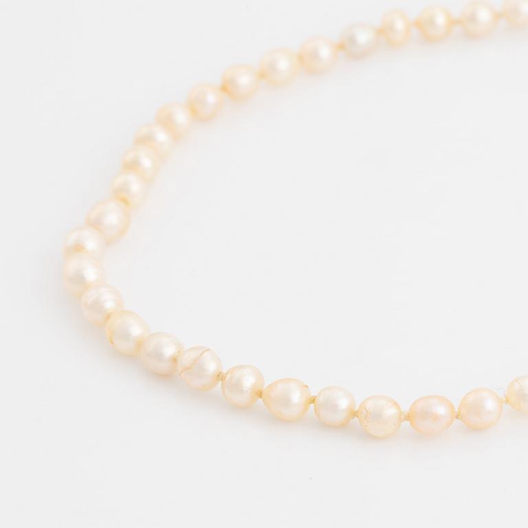 A pearl necklace.