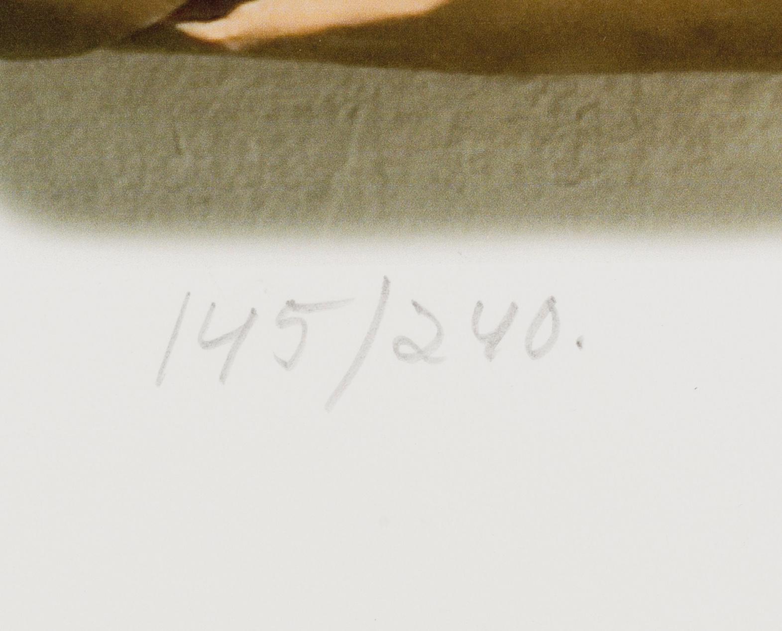 ALEXANDER VASILENKO, offsetlitografi, signerad och numrerad 145/240.