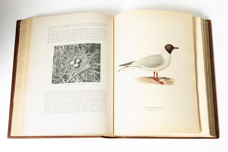 Bröderna von Wright, books, three volumes, 'Svenska fåglar', A. Börtzells tryckeri AB, Stockholm, 1927-29.
