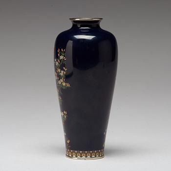 VAS, cloisonné. Japan, Meiji (1868-1912), signerad Kin'unken zo.