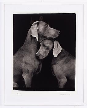 William Wegman, "Friends".