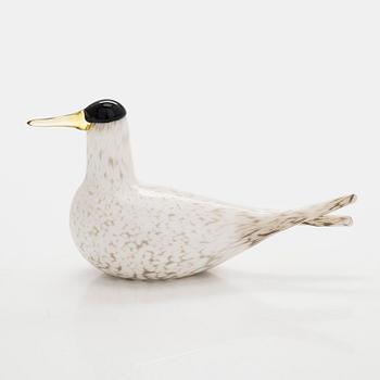 Oiva Toikka, an annual glass bird, 'Arctic tern', signed O. Toikka Nuutajärvi 2000 Sonera GSM A-sarja.