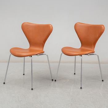 ARNE JACOBSEN, stolar 6 st, "Sjuan", Fritz Hansen, Danmark.