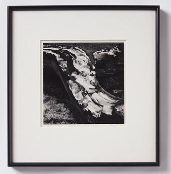 Ansel Adams, Utan titel, troligen 1950-tal.