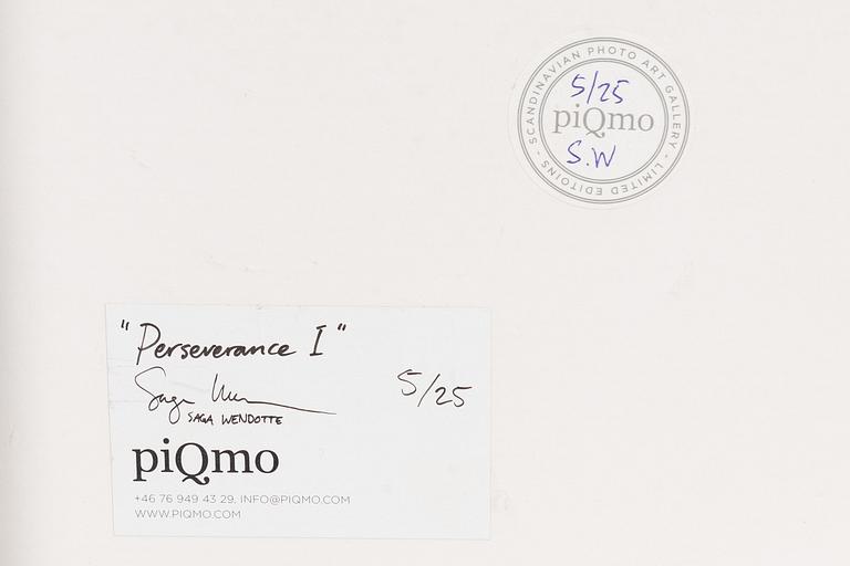 Saga Wendotte, "Perseverence I".