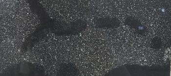 TAPIES, ANTONI. Etsning/carborundum, sign.