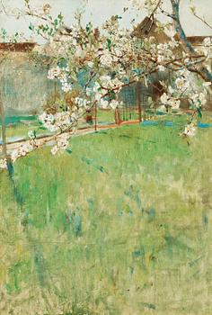 Bruno Liljefors, "Körsbärsblomster", motiv från Grez (Cherry blossoms, scene from Grez).