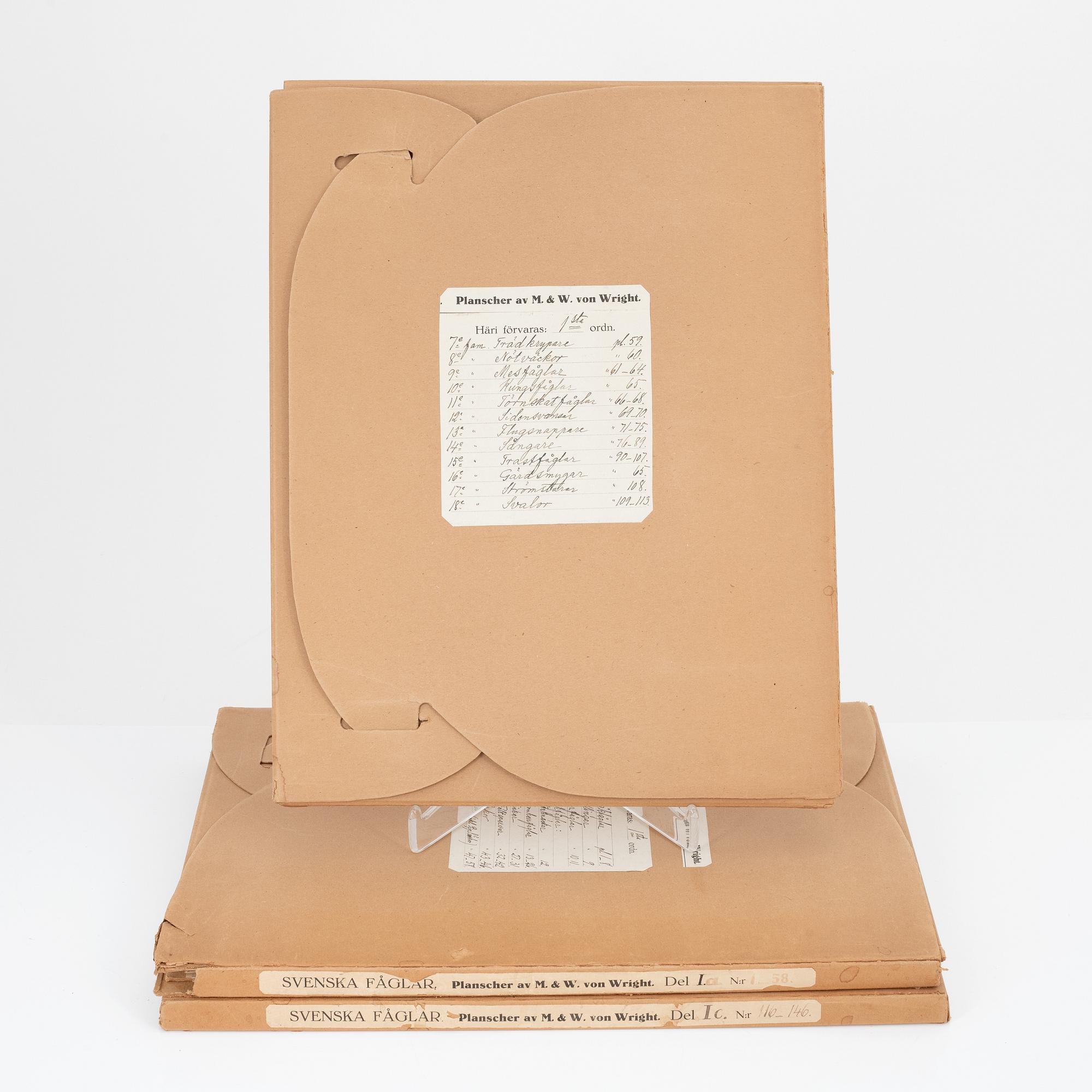 Bröderna von Wright, planschverk, "Svenska Fåglar", Ivar Baarsens förlag, Stockholm, 1920-tal.