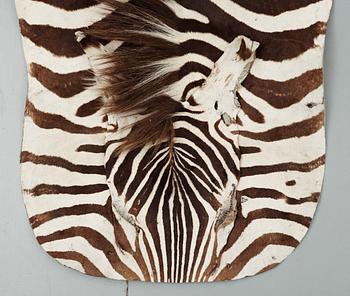 ZEBRASKINN, 1900-talets första hälft.