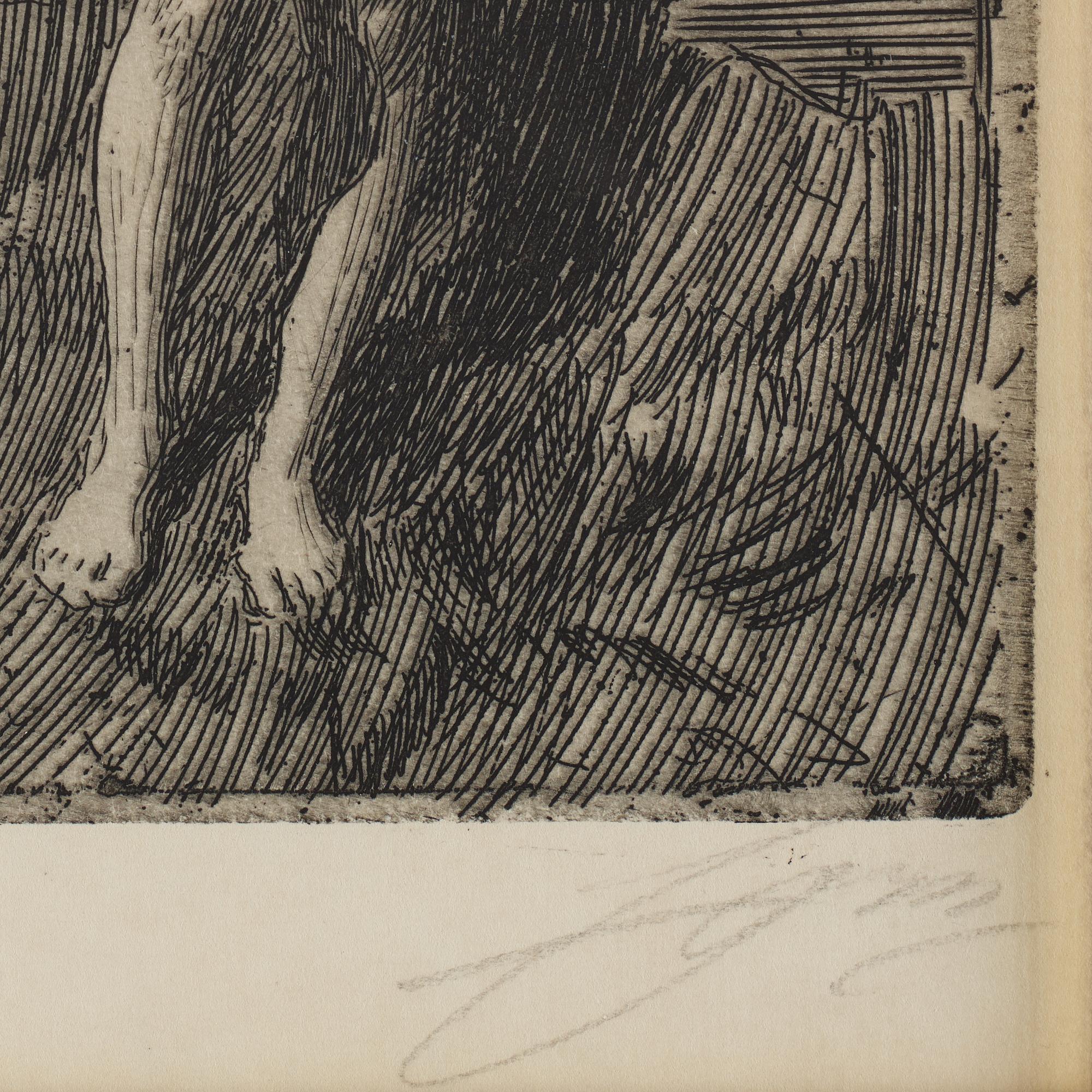 Anders Zorn, etching, 1901, signed in pencil.