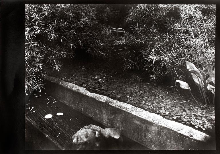JOSEF SUDEK, silver gelatin fotografi, nummer 12/18 ur Mappen "Profily", från 1980.