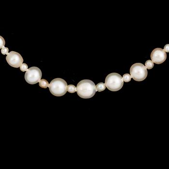 PÄRLCOLLIER. Lås 18K vitguld WA Bolin Stockholm 1964, med cabochonslipad safir och briljanter.