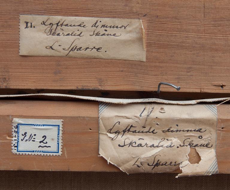 LOUIS SPARRE, olja på duk, signerad och daterad -31.