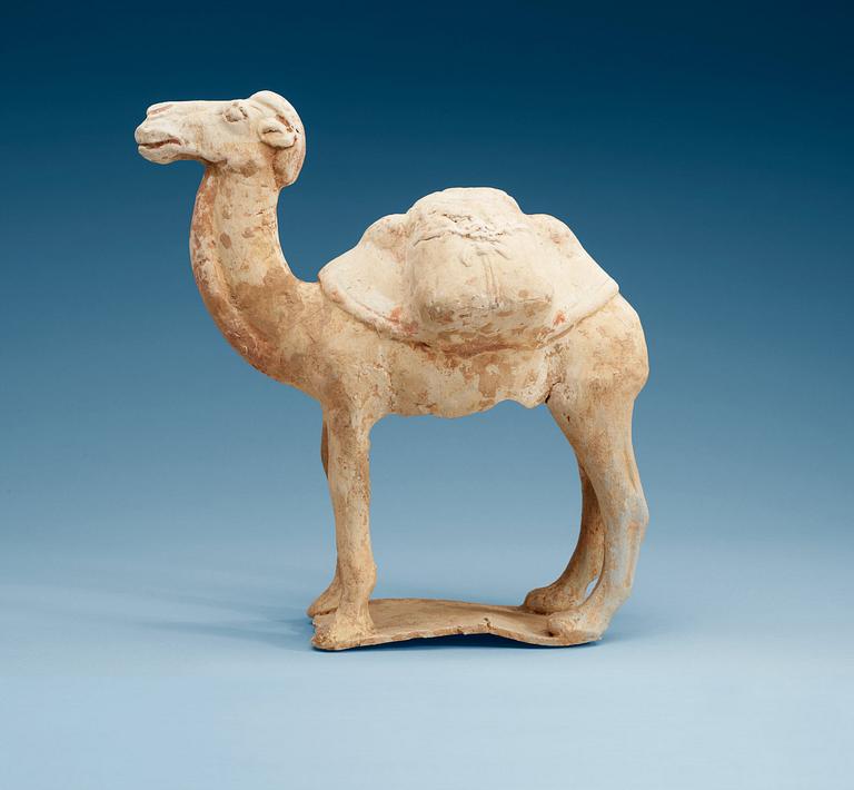 A pottery figure of a Camel, presumably Tang dynasty (618-906).