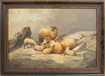 Unknown artist 19th/20th century, Resting sheep.