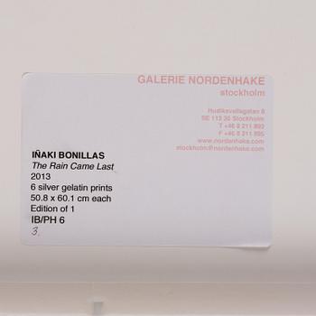 Iñaki Bonillas, "The Rain Came Last", 2013.