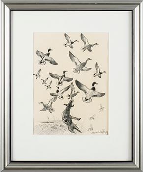 HARALD WIBERG, teckning, signerad.