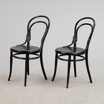 STOLAR, 2 st, Thonet, 1900-talets början.