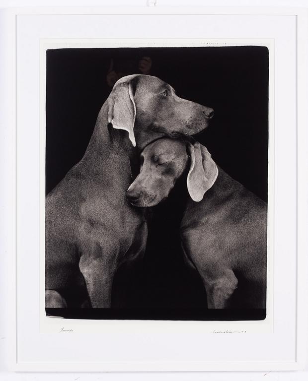 William Wegman, "Friends".