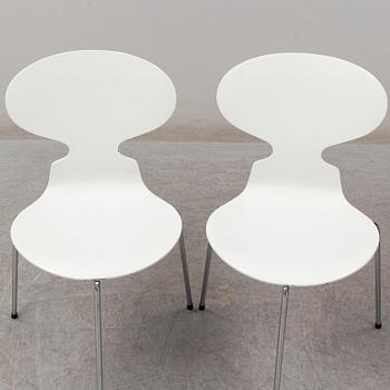 ARNE JACOBSEN, stolar, 6 st, "Myran". Fritz Hansen Danmark.