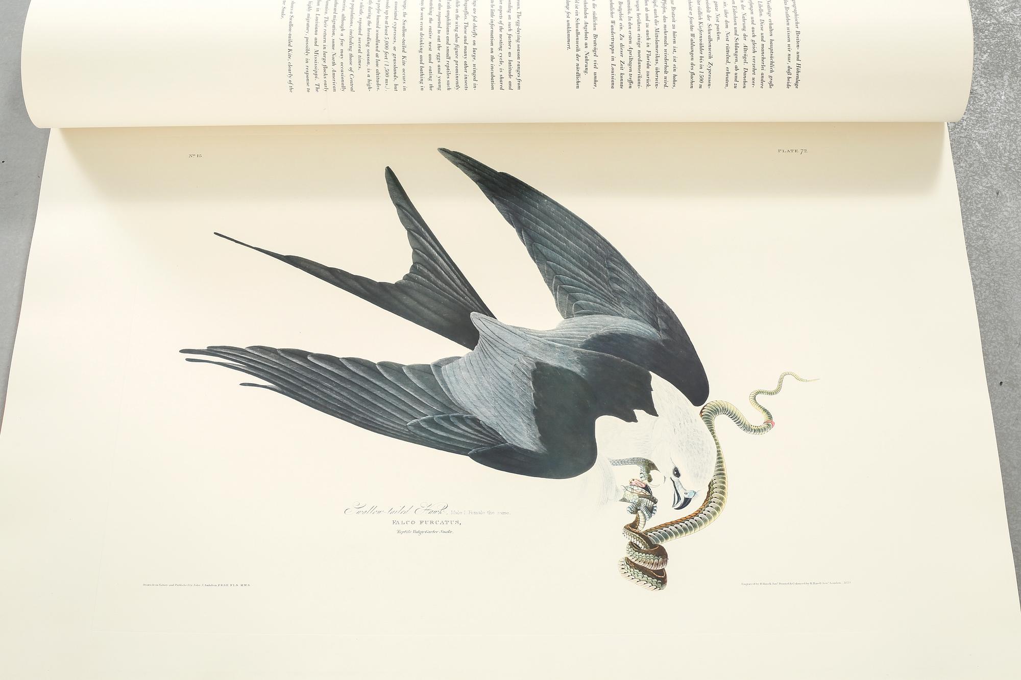 The book "The Birds of America", volume II, by John James Audubon, numbered 178/500, 1973.