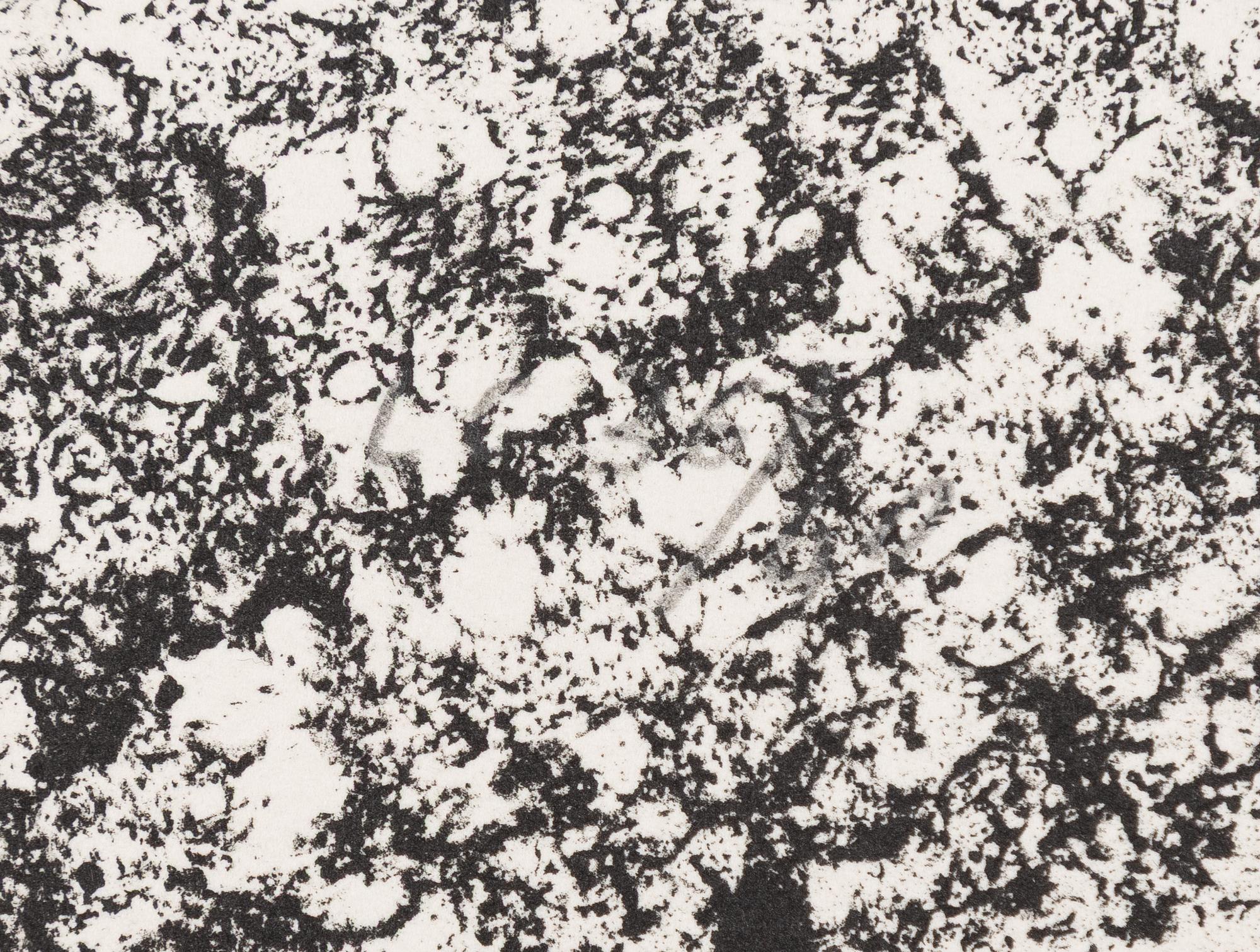 Lena Cronqvist, Utan titel, ur mappen: "August Strindberg, Ett Drömspel".