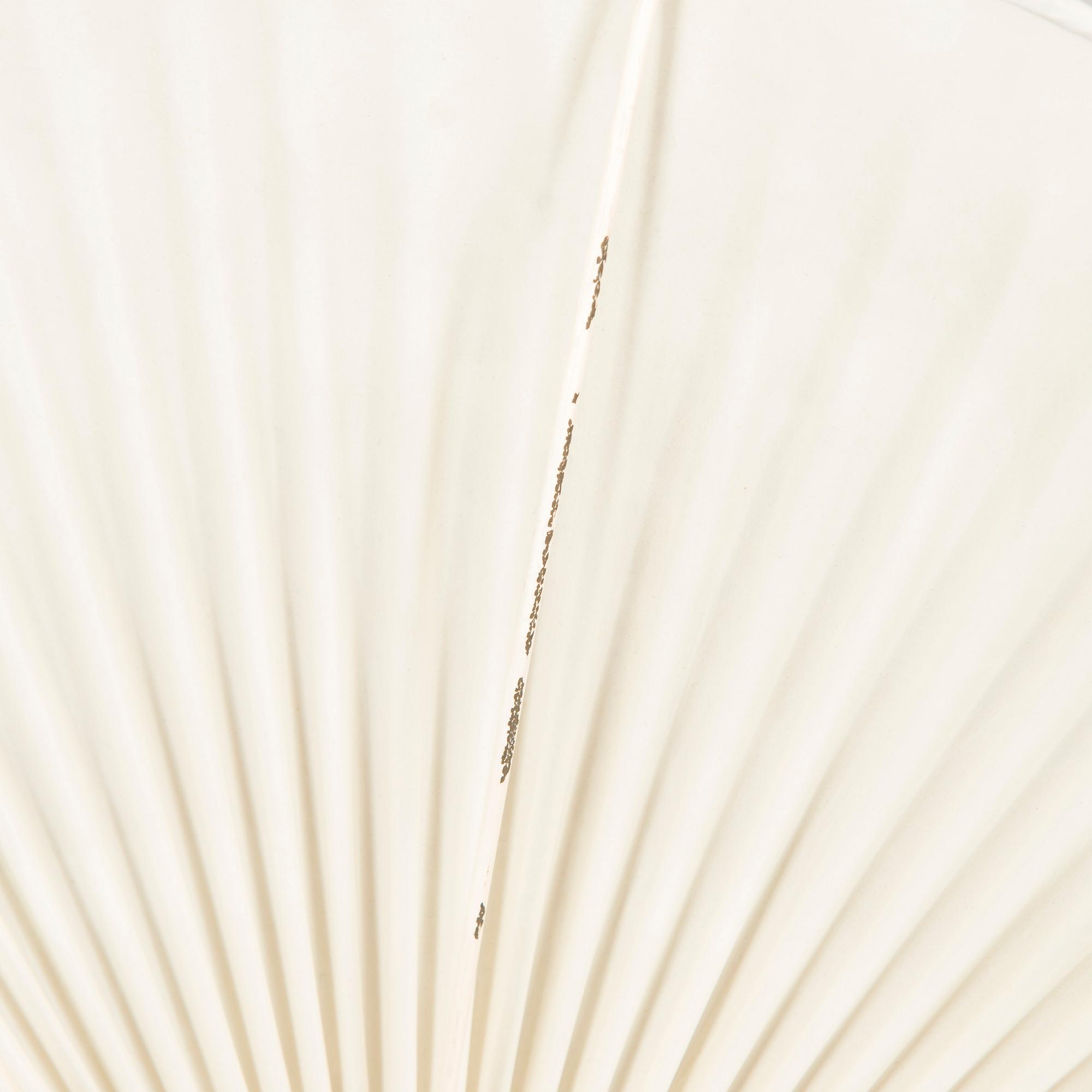 Takplafond, 1900-talets mitt.