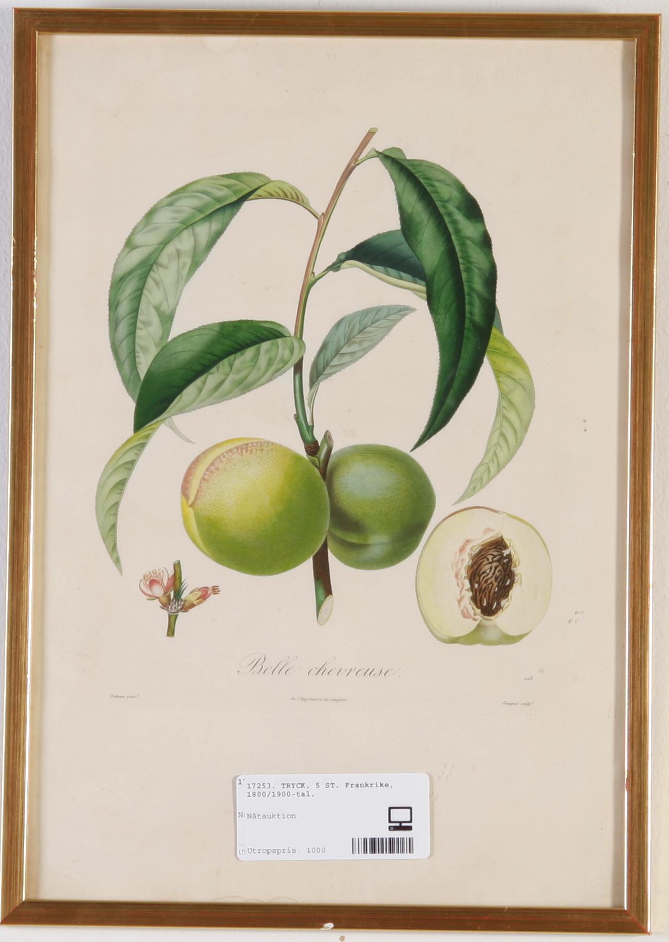 TRYCK, 5 ST. Frankrike, 1800/1900-tal.