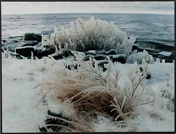 Andrey Brintsev · ANDREY BRINTSEV, fotografi, a tergo sign.