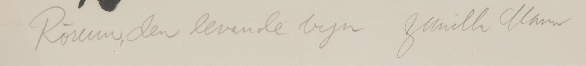 Gunilla Mann, "Rörum, den levande byn".