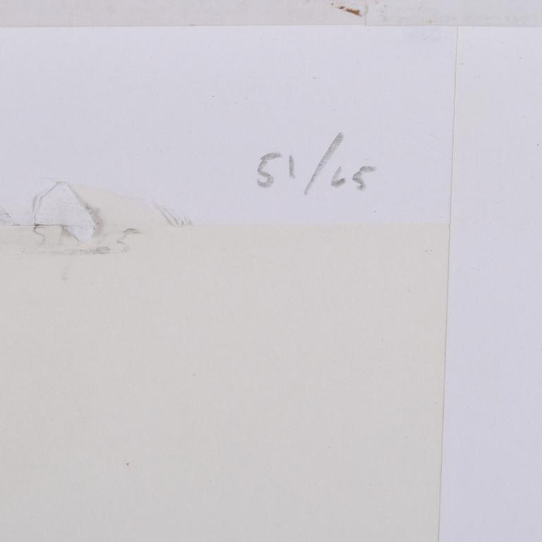 MARIA MIESENBERGER, C-print, numrerad à tergo 51/65, 2005.