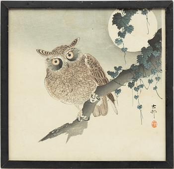 Ohara Koson, after, 'Scops owl on a branch under full moon'.