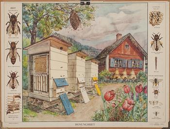 SKOLPLANSCHER, 5 st., 1900-talets andra hälft.