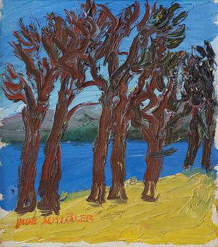 494. Inge Schiöler, "Barvinter".