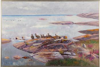 Johannes Ravn, Eiders on a Rock.