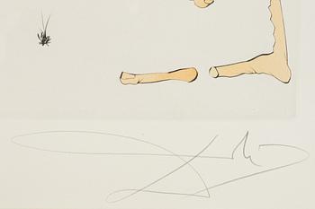 Salvador Dalí, torrnål kolorerad med stencil, 1975, signerad 266/300.