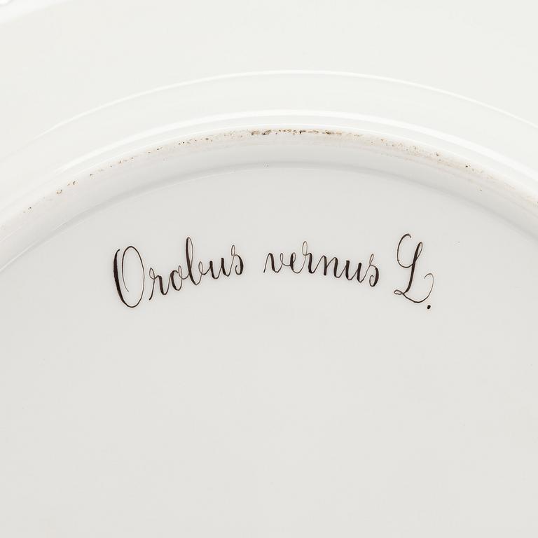 Plate, porcelain, Flora Danica, Royal Copenhagen, 1969-1974.