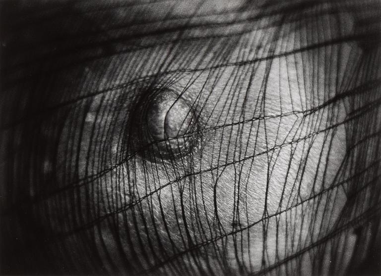 Christer Strömholm, "Fox Amphoux", 1987.