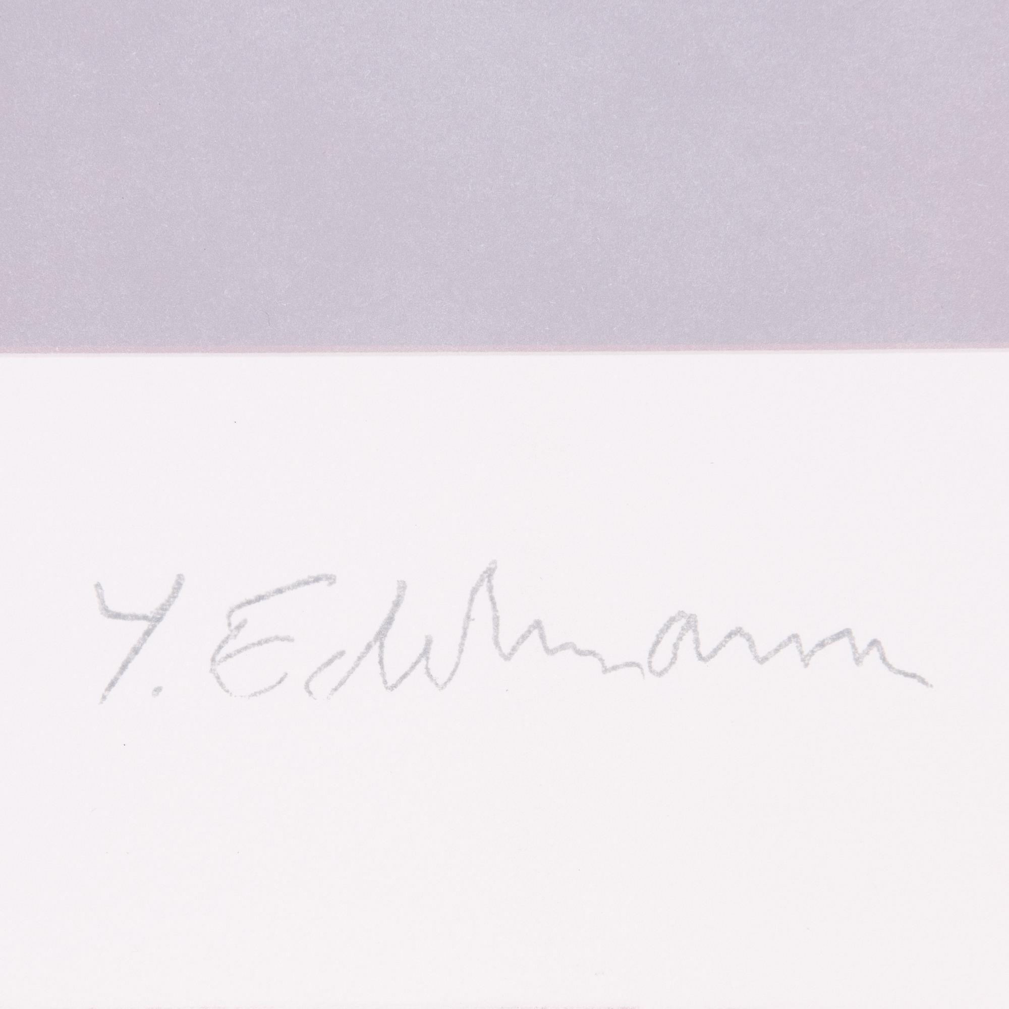 Yrjö Edelmann, "Wrapped Mac Laren II".