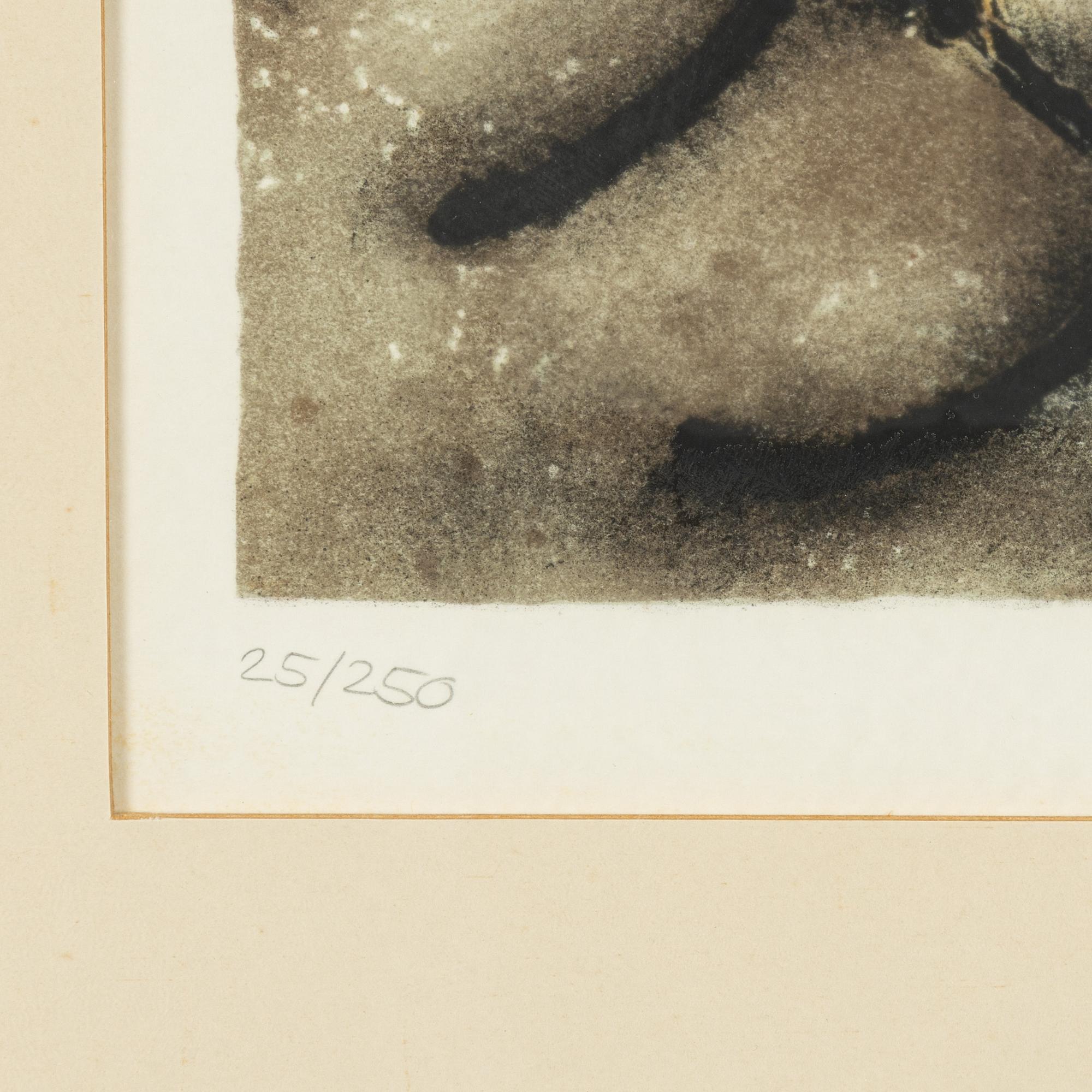 Salvador Dalí, lithograph in colours, 1972, signed in pencil and numbered 25/250.