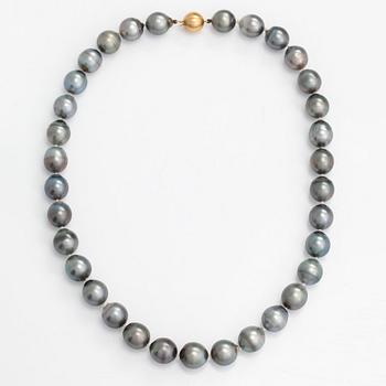 A cultured Tahiti pearl necklace, clasp in 18K gold.