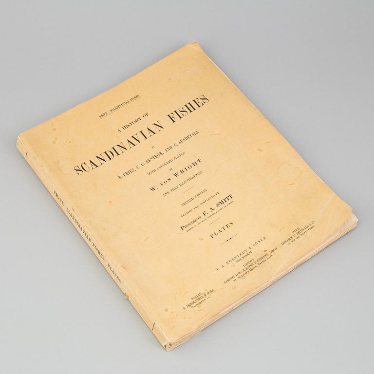 BOK, "Scandinavian Fishes", B Fries, C.U Ekström, C Sundevall. 1895, No 0170.