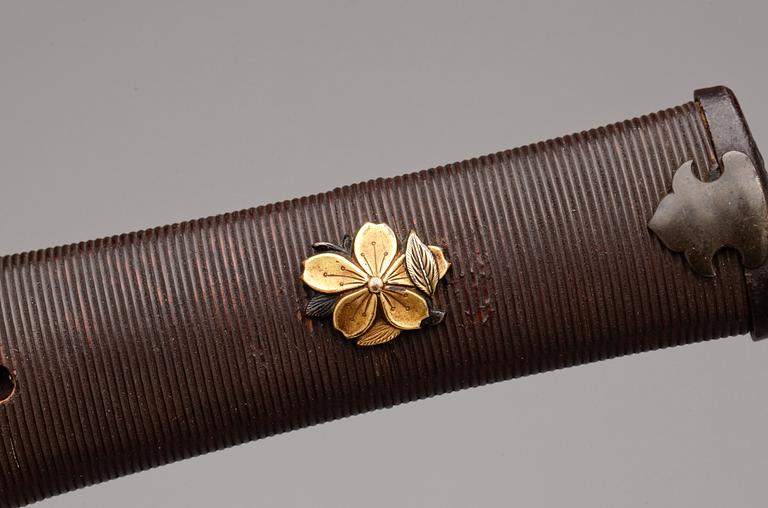 TANTO, Japan, shinshinto, 1800-talets mitt.