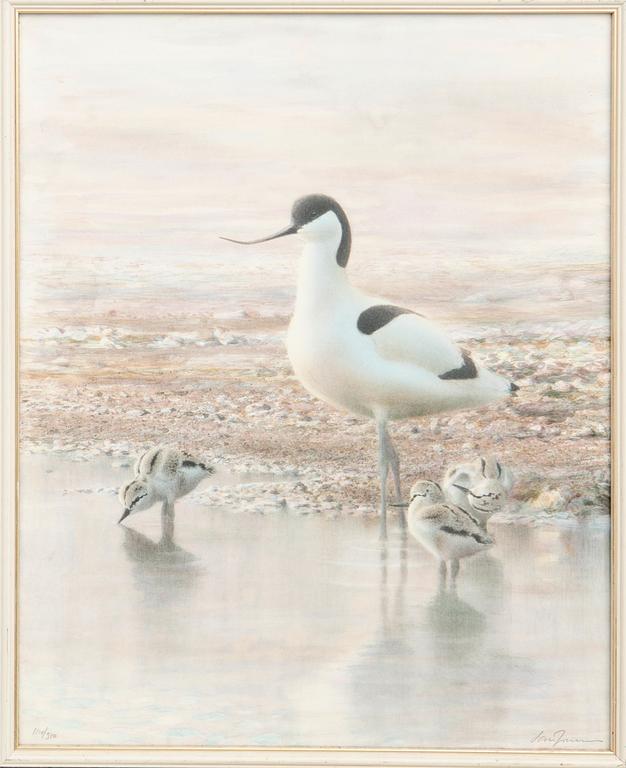 Lars Jonsson, Birds on the Shore.