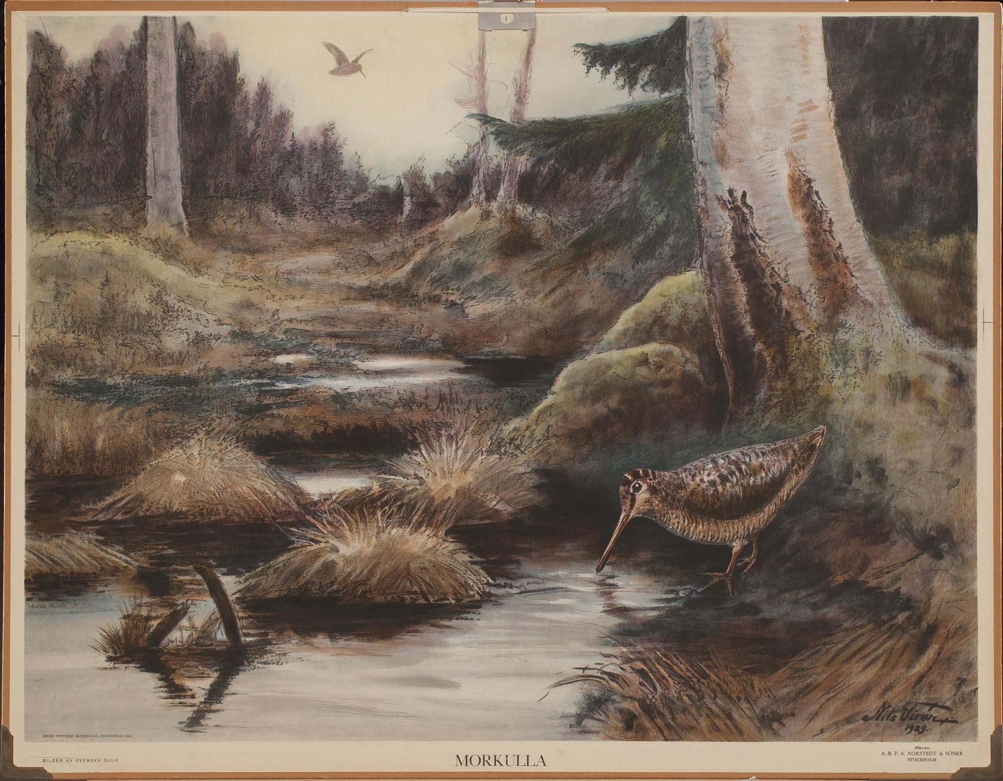 SKOLPLANSCHER, 5 st, 1900-talets första hälft.