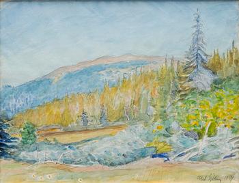 Axel Sjöberg, Solbelyst fjäll.