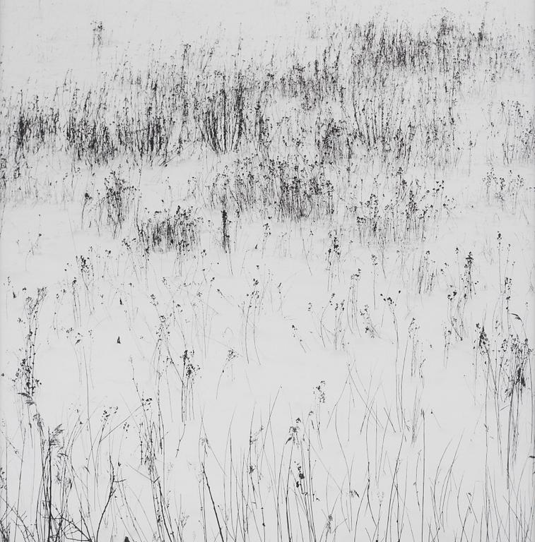 Gunnar Smoliansky, "5 februari 1978".