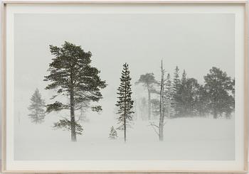 Karin Alfredsson, Ur sviten "Snö och regn skall passera", 2019.